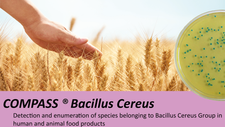 COMPASS® Bacillus Cereus Agar: Betrouwbare Detectie en Telling van Bacillus Cereus